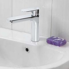 Brass Modern Basin Mxr W/Hose