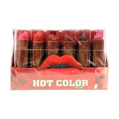 Hot Color Lip Stick Set