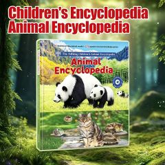 English Alphabet Learning Toy