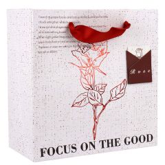 Gift Bag Txkr12566Zm 35