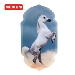 Picture Without Frame 38x70cm