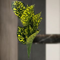 Leaves for Tree Fixing