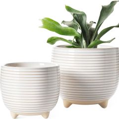 Ceramic Flower Pot Small