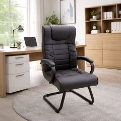 Leather Visitor Chair