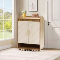 Modern 2-Door Shoe Cabinet