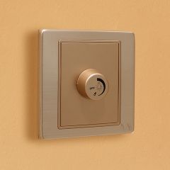 Light Dimmer Switch (1000W)