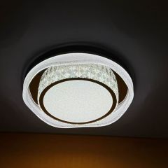Crystal Ceiling Light Silver
