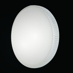 Plastic Ceiling Light
