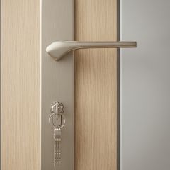 Lock Set