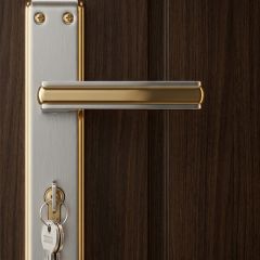 Modern Door Lock with Plate