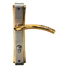 Modern Door Lock with Plate