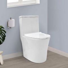 Siphonic Water Closet