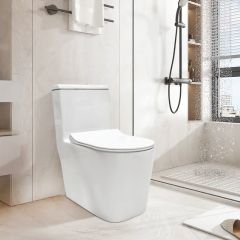 Syphonic Water Closet