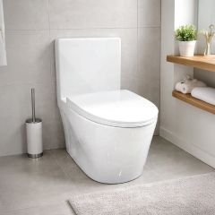 Water Closet 1 Piece