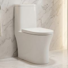 Water Closet 1 Piece