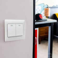 Switch 2G1W 10A 250V 10Y