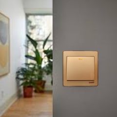 Switch 1G1W 16A 250V-Gd 10Y