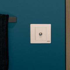 Switch 1G Sat Socket 10Y