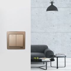 Switch 2G1W 16A 250V-Ch 10Y