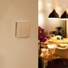 Switch 3G 1W 16Ax250V 10Y