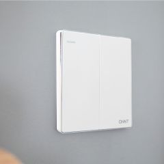 Switch 2G1W 16A 250V