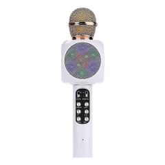 Karaoke Mic