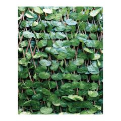 Green Leaf Decorative Partition Panel
