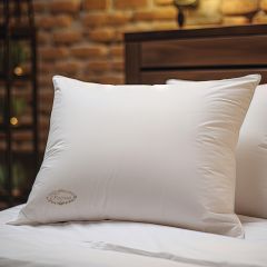 Pillow Focus Hotel Kng 80X50