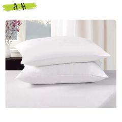 Eliana Pillow Set - 650g (2 Pieces)