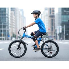 Bicycle 20 Inch