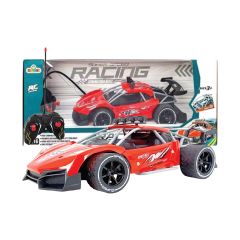 Remote Control Stunt Car Toy