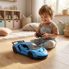 Remote Control Car 1:16