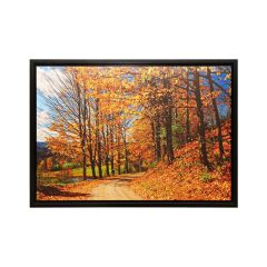 Decorative Picture Of Nature 90X60cm