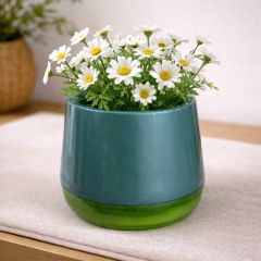 Plastic Hanging Flower Pot