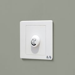 Light Dimmer Switch (1000W)