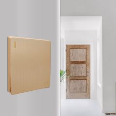 1 Gang 1 Way Plate Switch