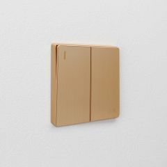 2 Gang 1 Way Plate Switch