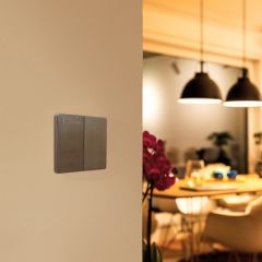 2Gang 1Way Plate Switch