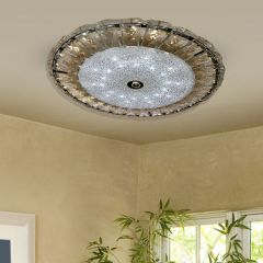 Ceiling Light 1Y