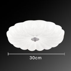 Plastic Ceiling Light 500 3 Color