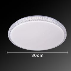 Plastic Ceiling Light 300 3 Color