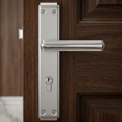 Modern Door Lock with Plate