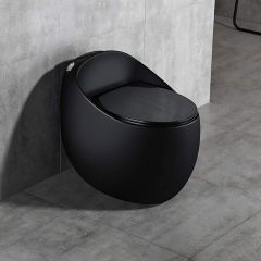 Syphonic Water Closet