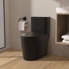 Water Closet 1 Piece