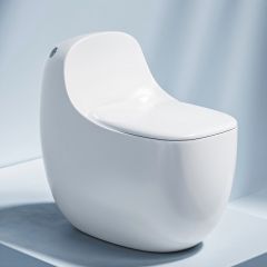 Water Closet 1 Piece Syphonic