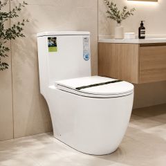 Water Closet 1 Piece