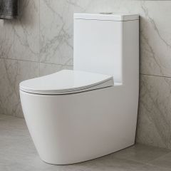Water Closet Toilet White