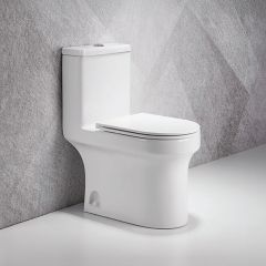 Wash Down Water Closer Set