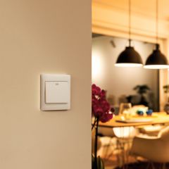 Switch 1G1W 10A 250V 10Y