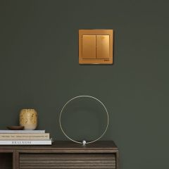 Switch 2G2W 16A 250V-Gd 10Y